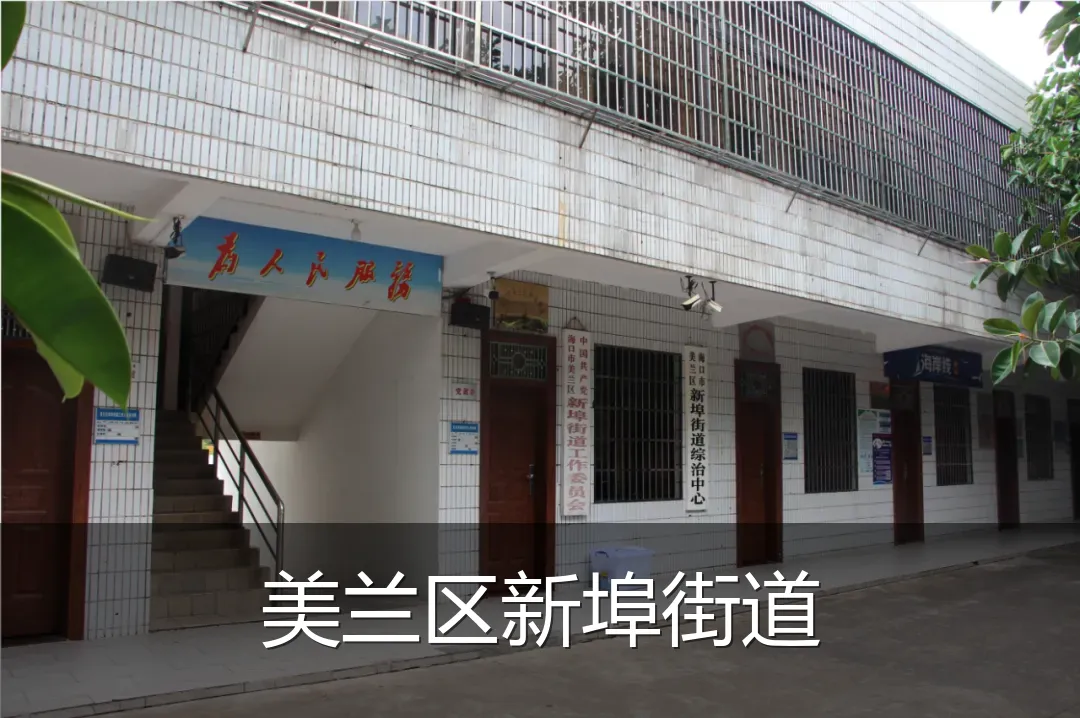 美兰区新埠街道